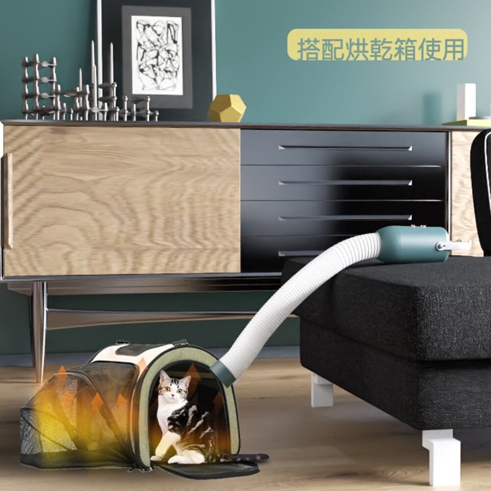 多功能攜帶式烘衣機 小型烘乾機 殺菌 除蟎 出差旅行 烘衣機 烘鞋機 送禮-圖片-3