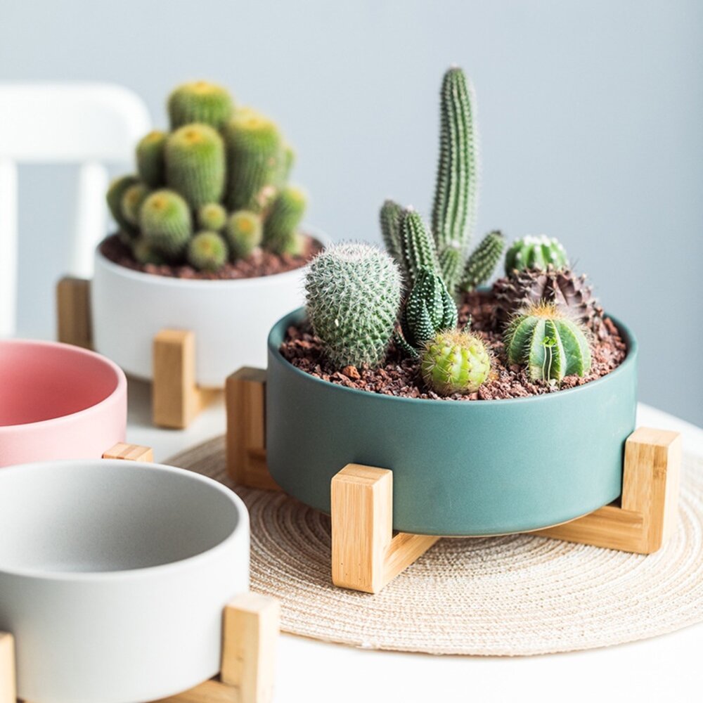 北歐風多用途木架陶瓷 花盆木架 木架沙發碗 木架寵物碗 陶瓷花盆 水培花盆 微波烤箱碗 送禮-圖片-2