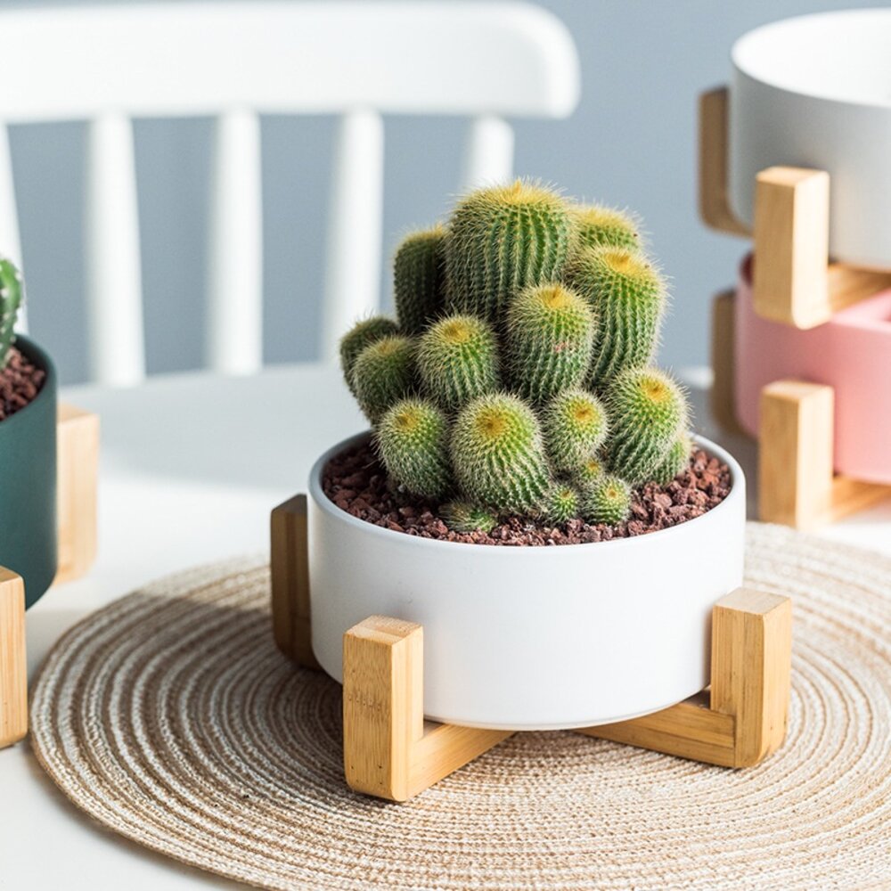 北歐風多用途木架陶瓷 花盆木架 木架沙發碗 木架寵物碗 陶瓷花盆 水培花盆 微波烤箱碗 送禮-圖片-6