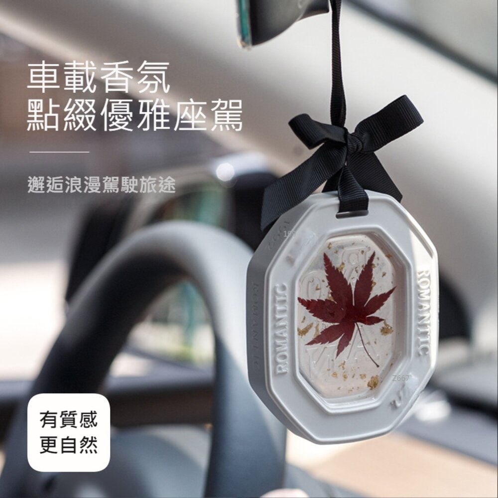 香薰蠟片 衣櫥除味 香氛 車內除味 精油 除異味 送禮-圖片-3