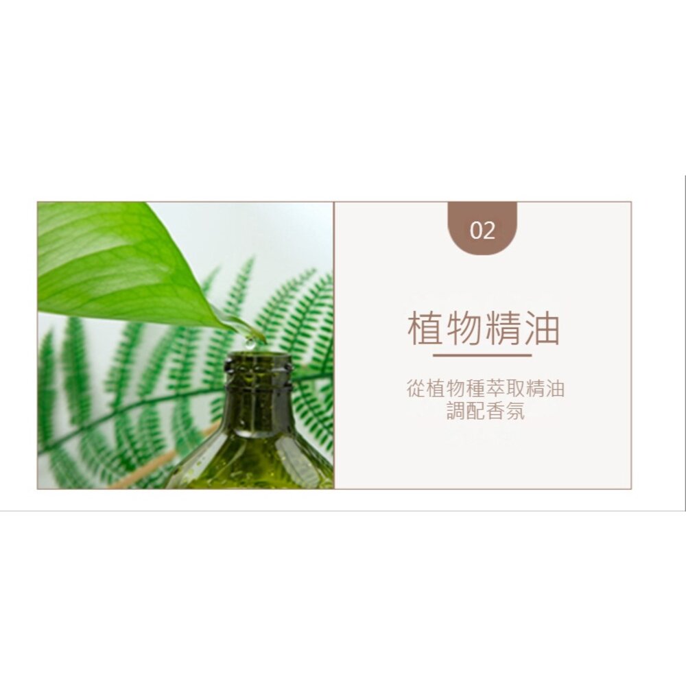 香薰蠟片 衣櫥除味 香氛 車內除味 精油 除異味 送禮-圖片-7