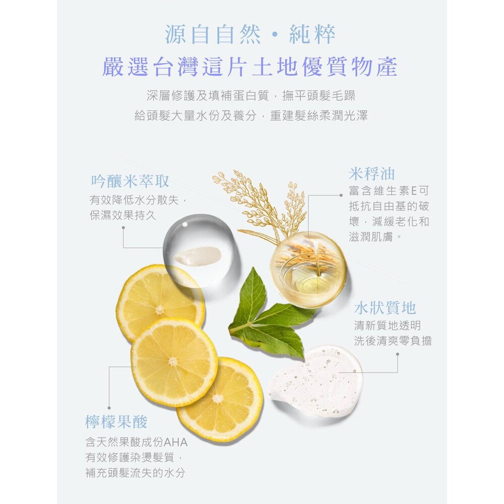 SINTER顏璽》晶米吟釀洗髮潤髮乳 保濕不流淚洗髮露 乾使兩用免沖洗護髮素 送禮-圖片-10