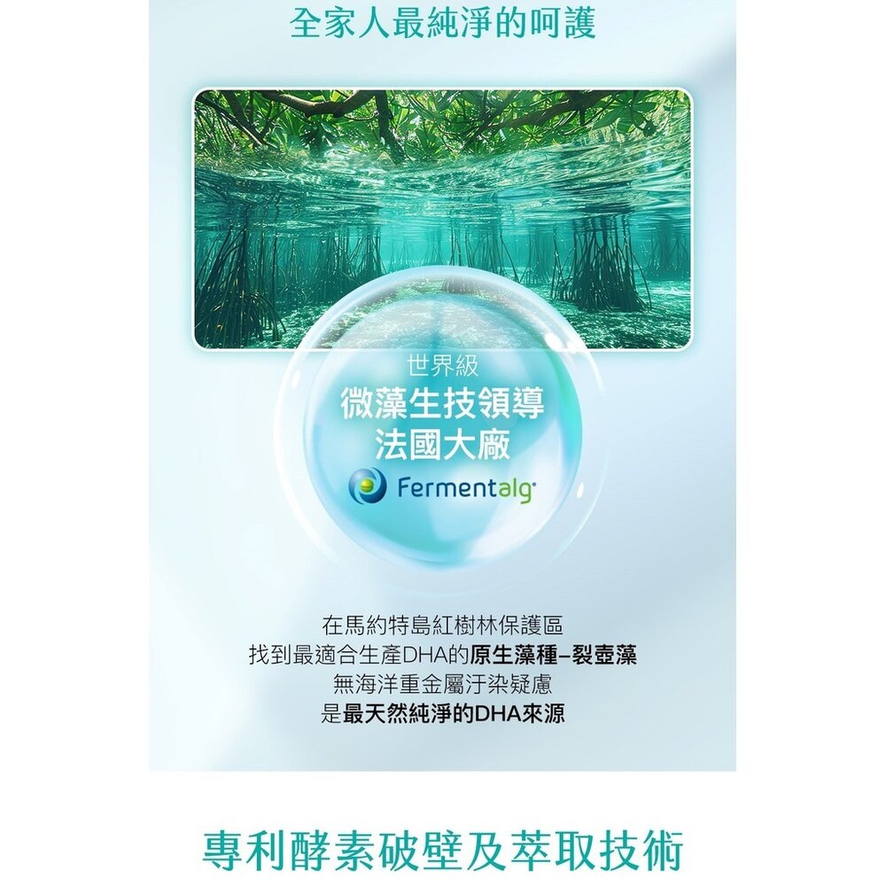 法國頂級DHA植物藻油 植物DHA無異味 適合素食者 適合全家人食用 Aicom 艾力康 30粒/盒 送禮-圖片-8