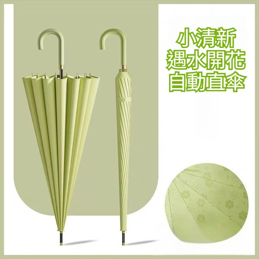 250701-00001-小清新遇水開花自動直傘 16骨抗風自動傘 遇水開花傘布 三層防雨 高密度防水 加固傘骨 防潑水 晴雨傘 送禮