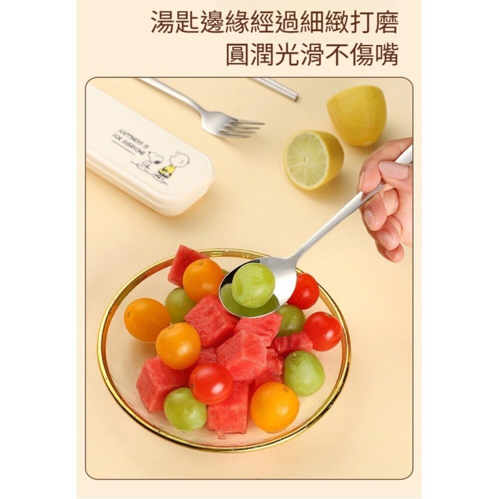 史努比環保便攜餐具組 Snoopy便攜餐具組 不鏽鋼環保餐具 304不鏽鋼 外帶餐具 露營野餐餐具 平行輸入 送禮-圖片-7