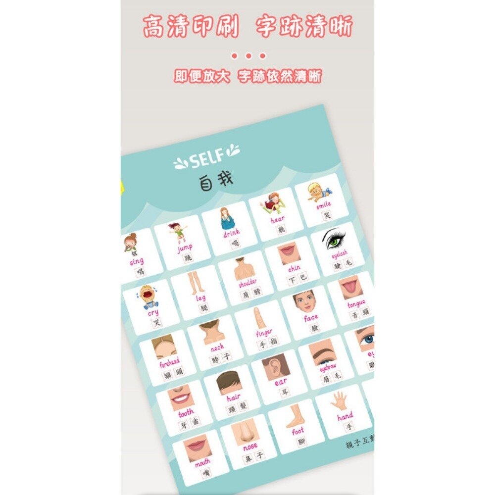 雙語兒童啟蒙認知海報組 幼兒早教掛圖 嬰幼兒啟蒙學習 繁體中文 中英雙語 防水防污 親子互動 認知海報 送禮-圖片-5