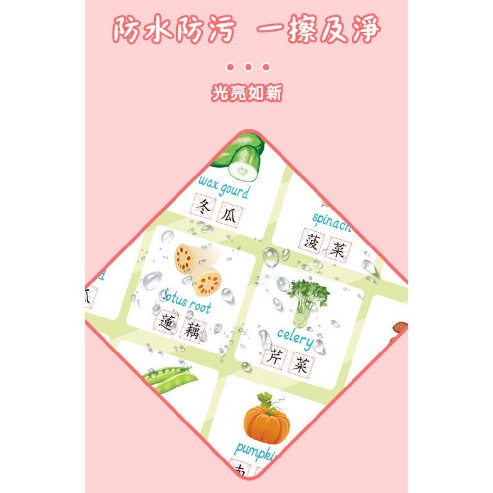 雙語兒童啟蒙認知海報組 幼兒早教掛圖 嬰幼兒啟蒙學習 繁體中文 中英雙語 防水防污 親子互動 認知海報 送禮-圖片-6