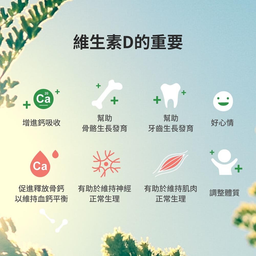 【益菓保】|英國海藻維生素D3|10ml/瓶(滴劑)|全年齡|1盒 送禮-圖片-4