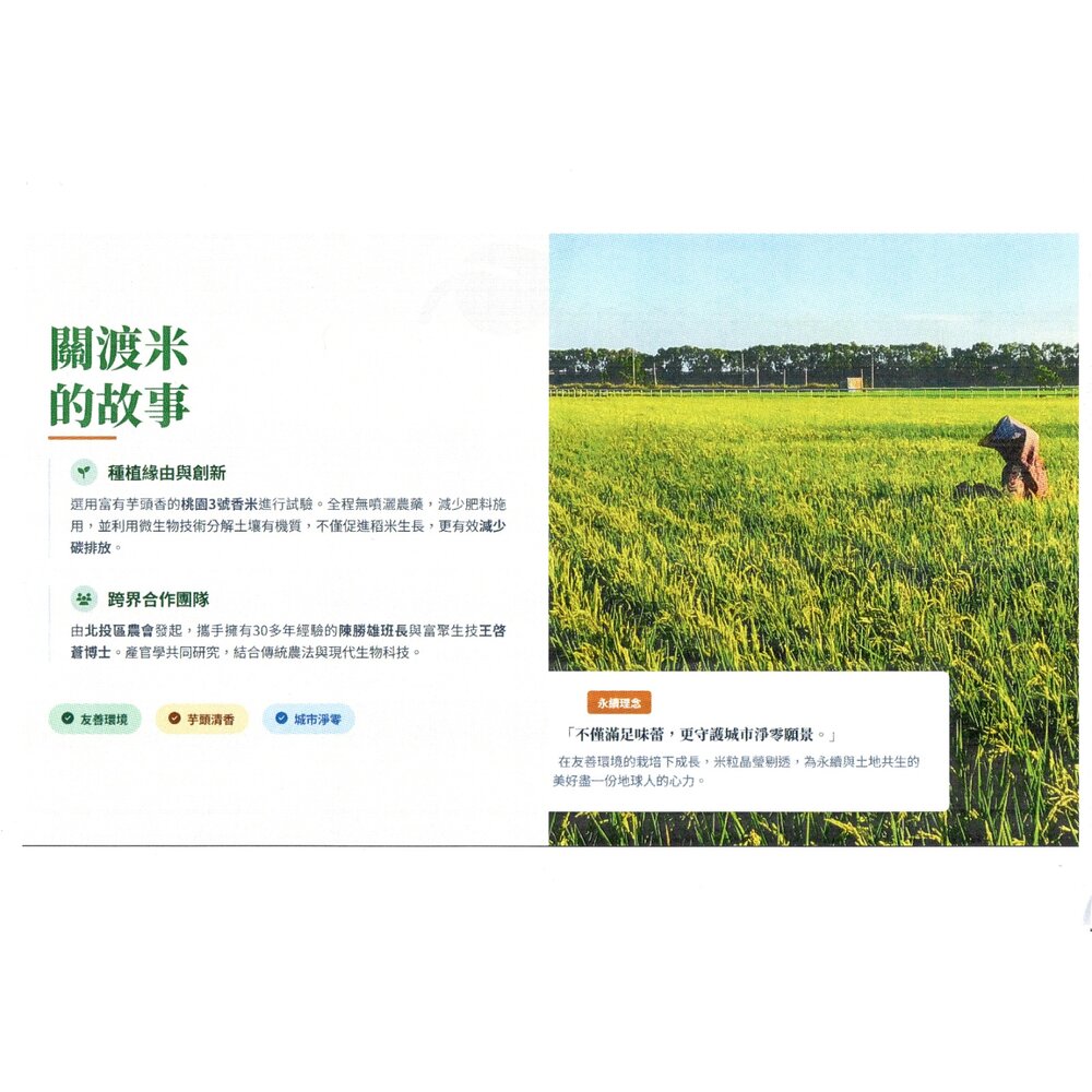 稀有北投關渡芋頭香米 台北在地最後稻田 北投農會關渡米 幸福平安米 台灣米 無農藥米 永續友善 送禮-圖片-8