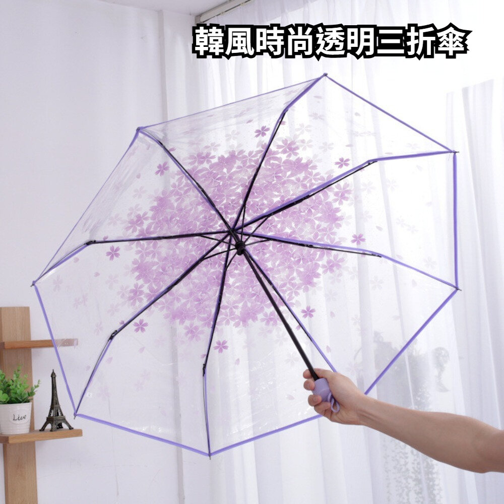 260316-00001-韓式時尚透明三折傘 自動開合雨傘 透明雨傘 摺疊傘 雨具 透明 防風 櫻花 雛菊 送禮
