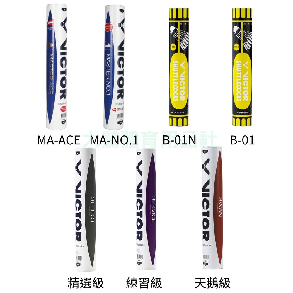 250424104605-VICTOR 勝利 羽毛球 天鵝級 SWAN SELECT MASTER