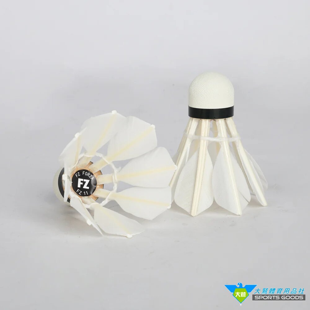 FZ FORZA FZ-11 八根羽球 羽毛球 耐打 高CP值-圖片-1