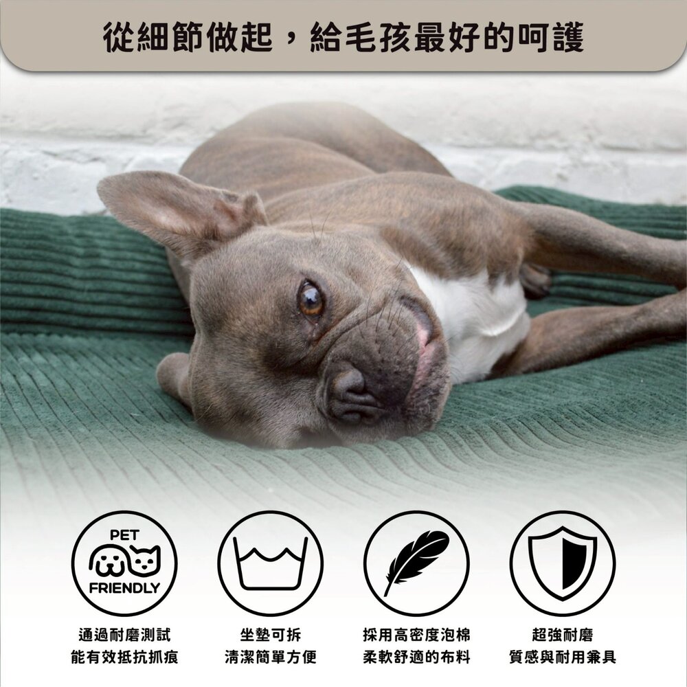 Martin 馬汀 天鵝絨頂級沙發床 天鵝絨寵物沙發床 寵物床 寵物窩 貓狗睡窩 狗窩 貓窩『WANG』-圖片-5