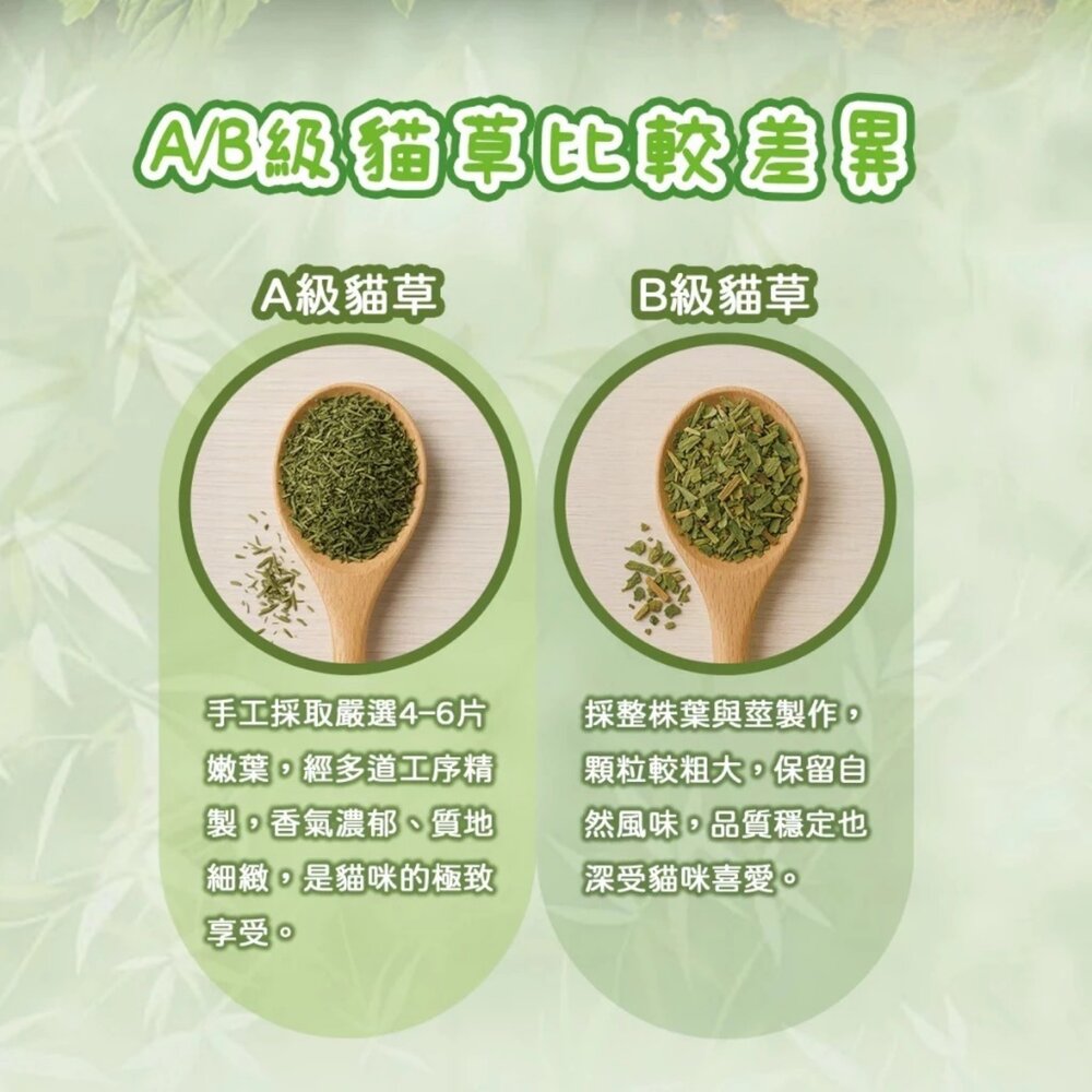 MORES 摩爾思 CaMo卡默 頂級貓薄荷 隨手包1g 銷魂貓草 紓壓木天蓼粉 貓草 貓薄荷 貓零食『WANG』-圖片-4