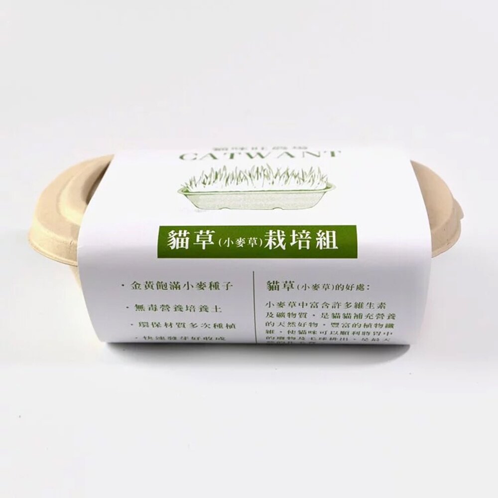 CATWANT 貓咪旺農場 小麥草DIY種植組 安心栽種容易 維護腸道保健 貓草 貓零食『WANG』-圖片-2