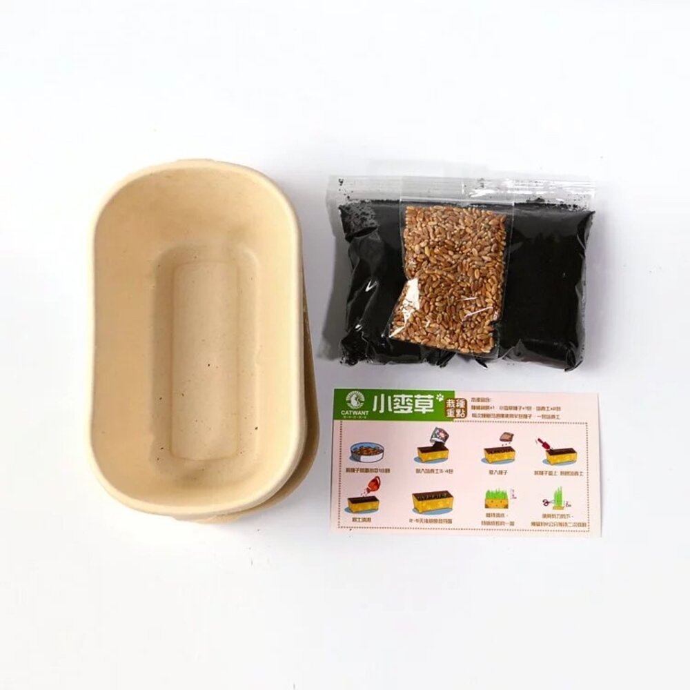 CATWANT 貓咪旺農場 小麥草DIY種植組 安心栽種容易 維護腸道保健 貓草 貓零食『WANG』-圖片-3