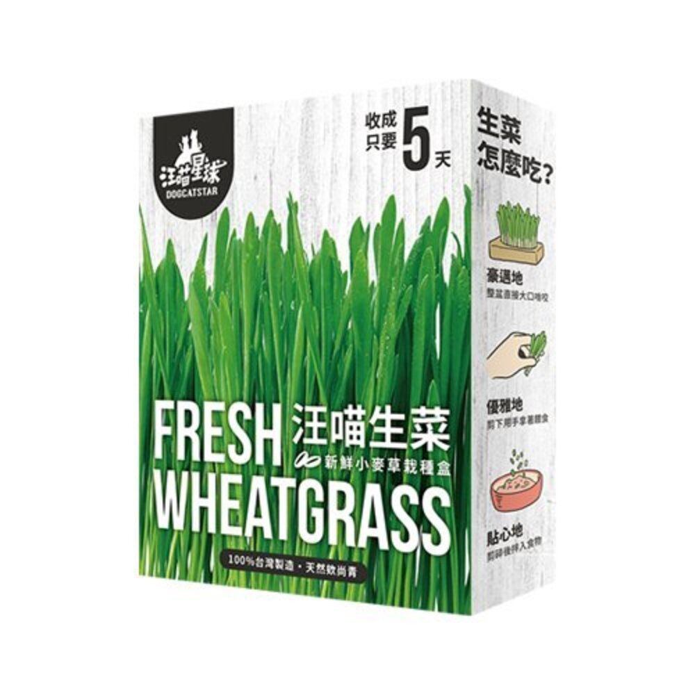 020300210-DogCatStar汪喵星球 貓草新鮮栽培盒65g 長超快 5天收成 貓草 貓零食『WANG』