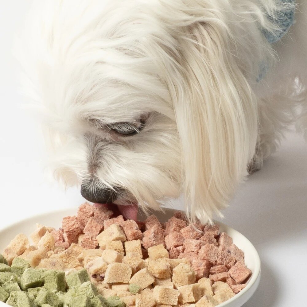 DogCatStar 汪喵星球 保健丁凍乾零食 20g 泌尿丁/排毛丁/口腔丁 犬貓零食 狗凍乾 貓凍乾『WANG』-圖片-2