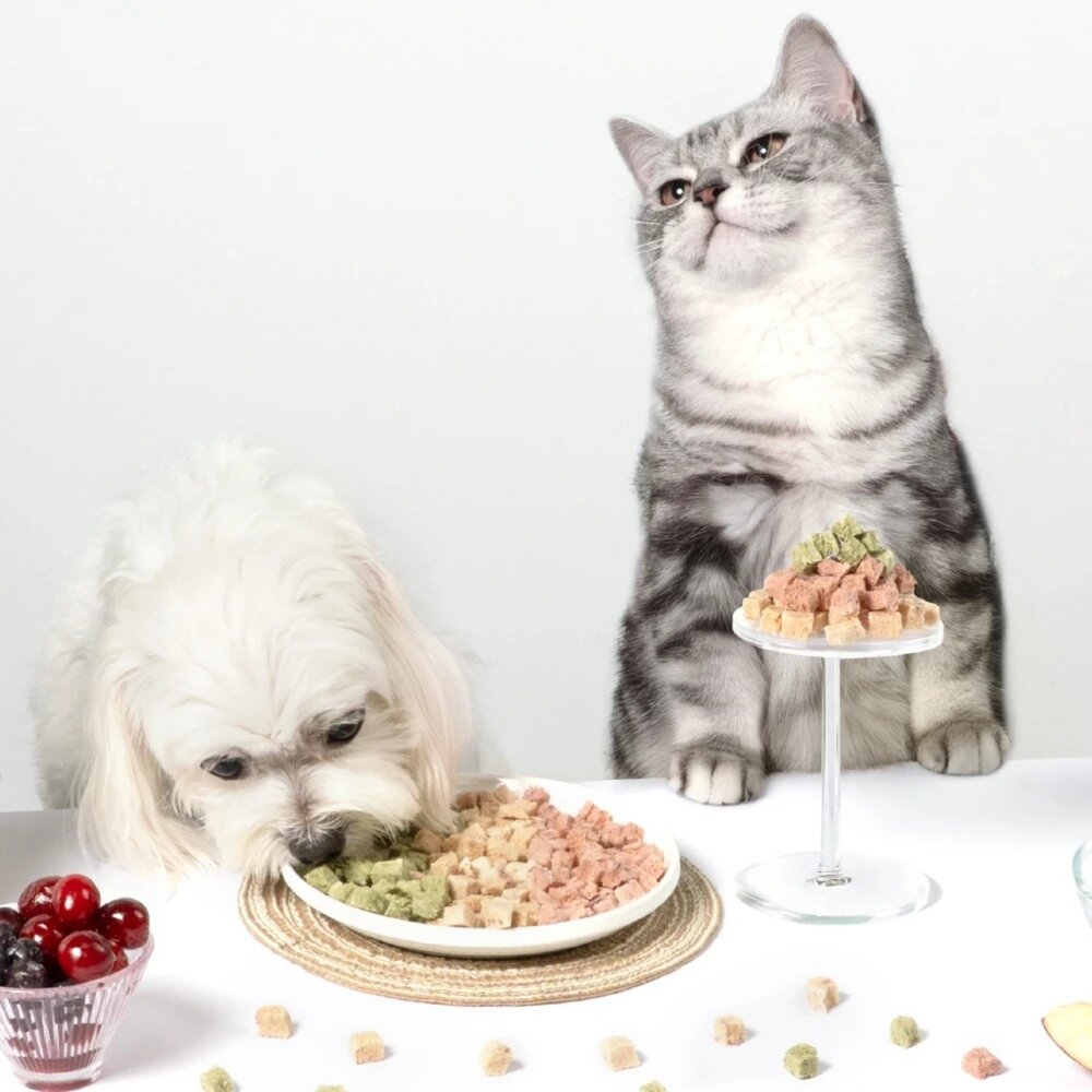 DogCatStar 汪喵星球 保健丁凍乾零食 20g 泌尿丁/排毛丁/口腔丁 犬貓零食 狗凍乾 貓凍乾『WANG』-圖片-5