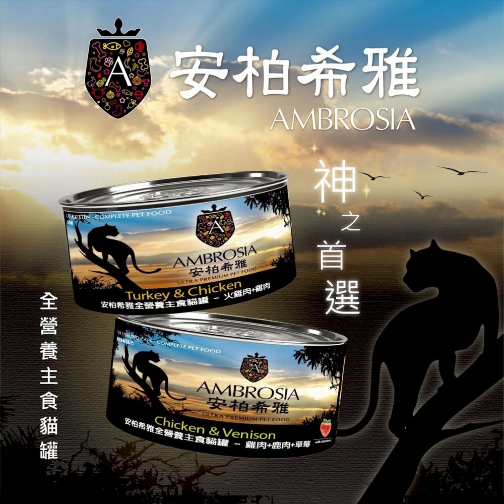 Ambrosia 安柏希雅 無穀全營養主食貓罐 150g【12罐組箱購】無穀罐 全營養罐 主食罐 貓罐頭『WANG』-圖片-4