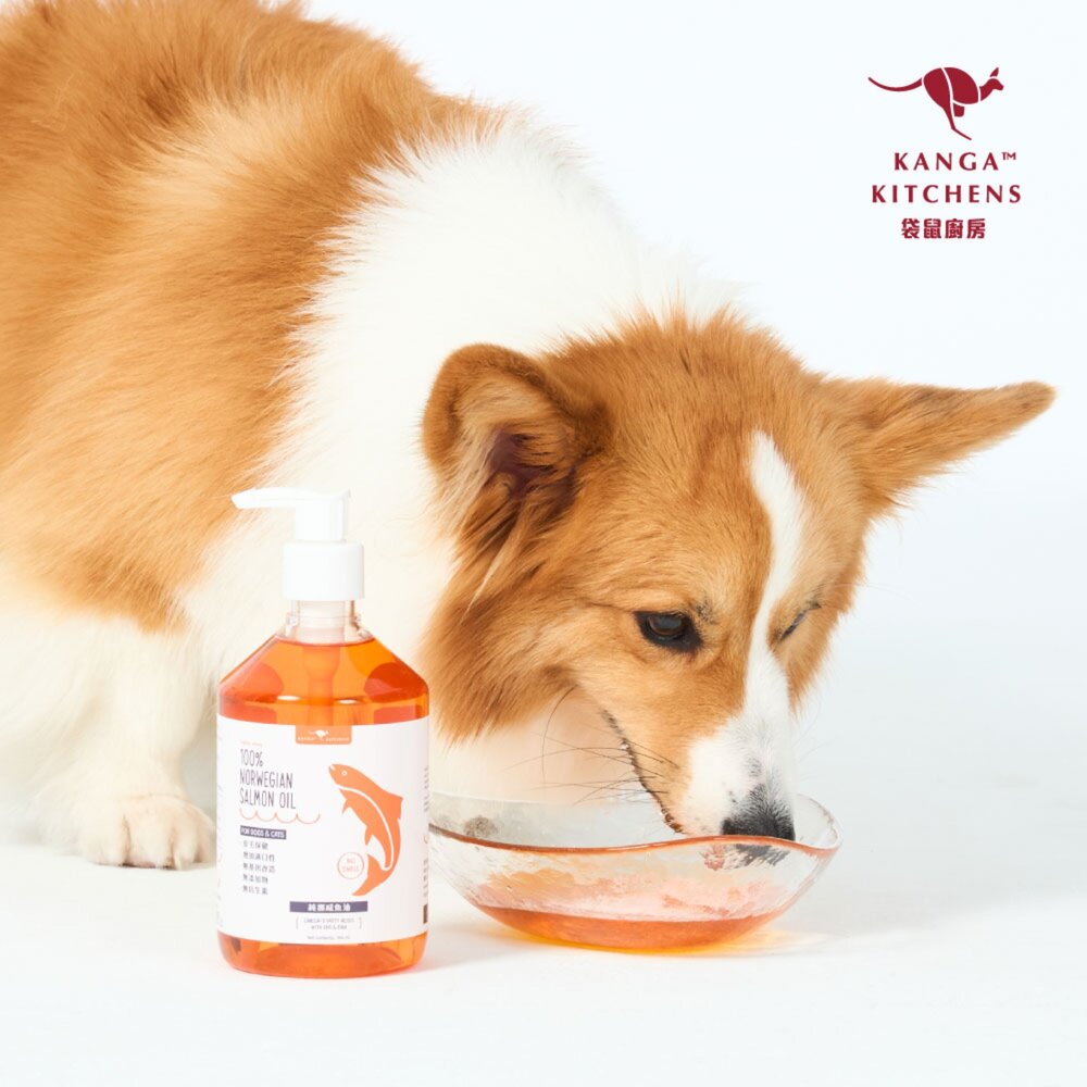 澳洲袋鼠廚房【加送贈品】100%挪威純魚油500ml 寵物魚油 挪威鮭魚油 天然魚油 全齡犬貓 皮膚保健『WANG』-圖片-6