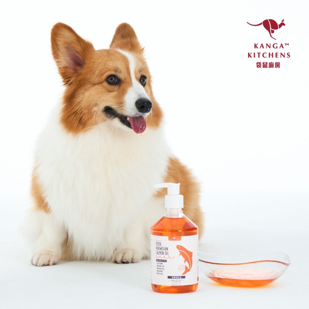 澳洲袋鼠廚房【加送贈品】100%挪威純魚油500ml 寵物魚油 挪威鮭魚油 天然魚油 全齡犬貓 皮膚保健『WANG』-圖片-7