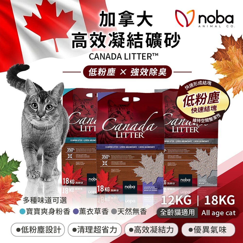 noba 高效凝結礦砂 26.4LB(12kg) 【免運】加拿大 藍鑽貓砂 礦砂 膨潤土 無塵細砂 貓砂『WANG』-圖片-2
