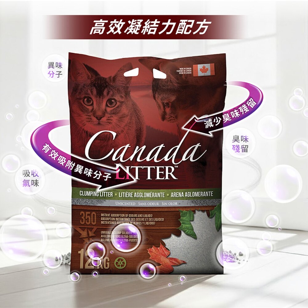 noba 高效凝結礦砂 39.7LB(18kg)【免運】藍鑽貓砂 礦砂 膨潤土 無塵細砂 貓砂『WANG』-圖片-4