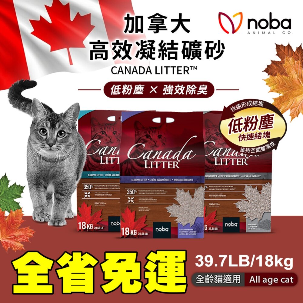 050100270-noba 高效凝結礦砂 39.7LB｜18kg【免運】加拿大 原廠授權 ｜快速結塊・高吸收・低粉塵『WANG』