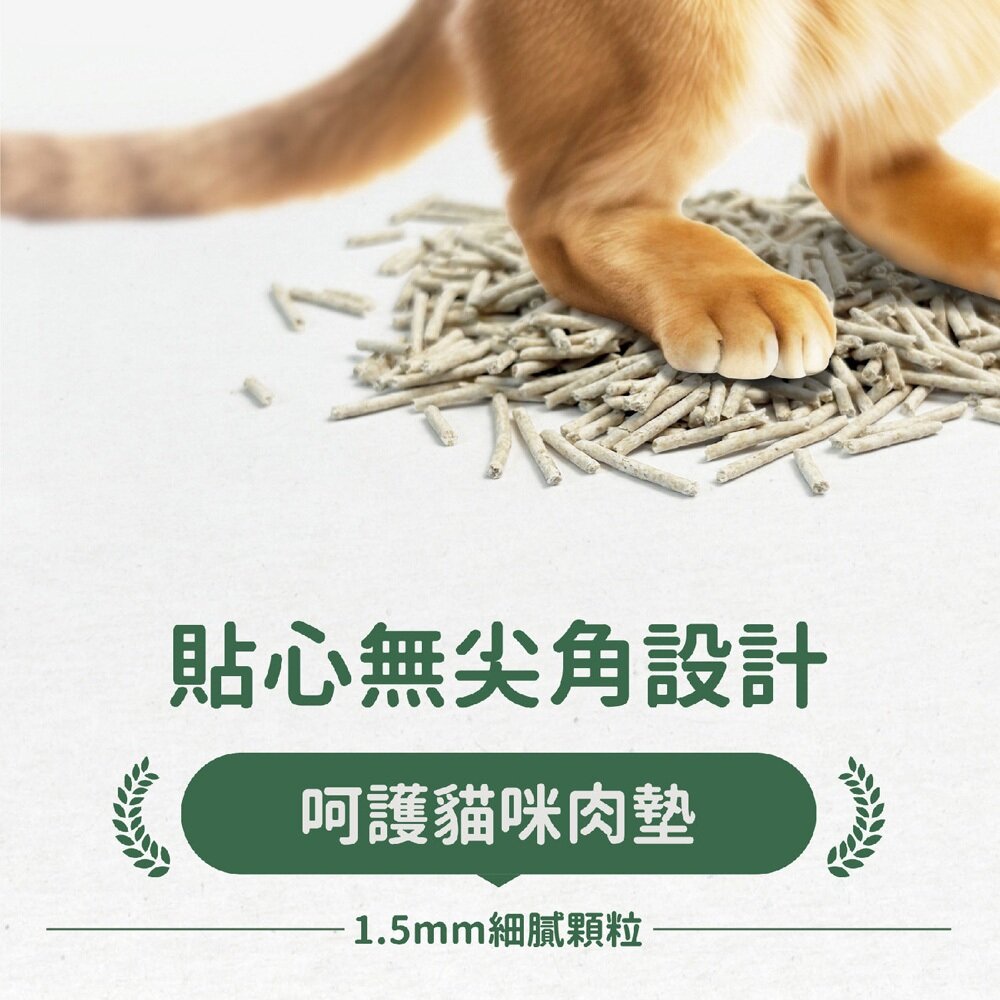 MRC 瑪西森林 環保豆腐砂 除臭稻殼貓砂【6包組免運】2.5kg(6L) 稻殼砂 極低粉塵 豆腐砂 貓砂『WANG』-圖片-6