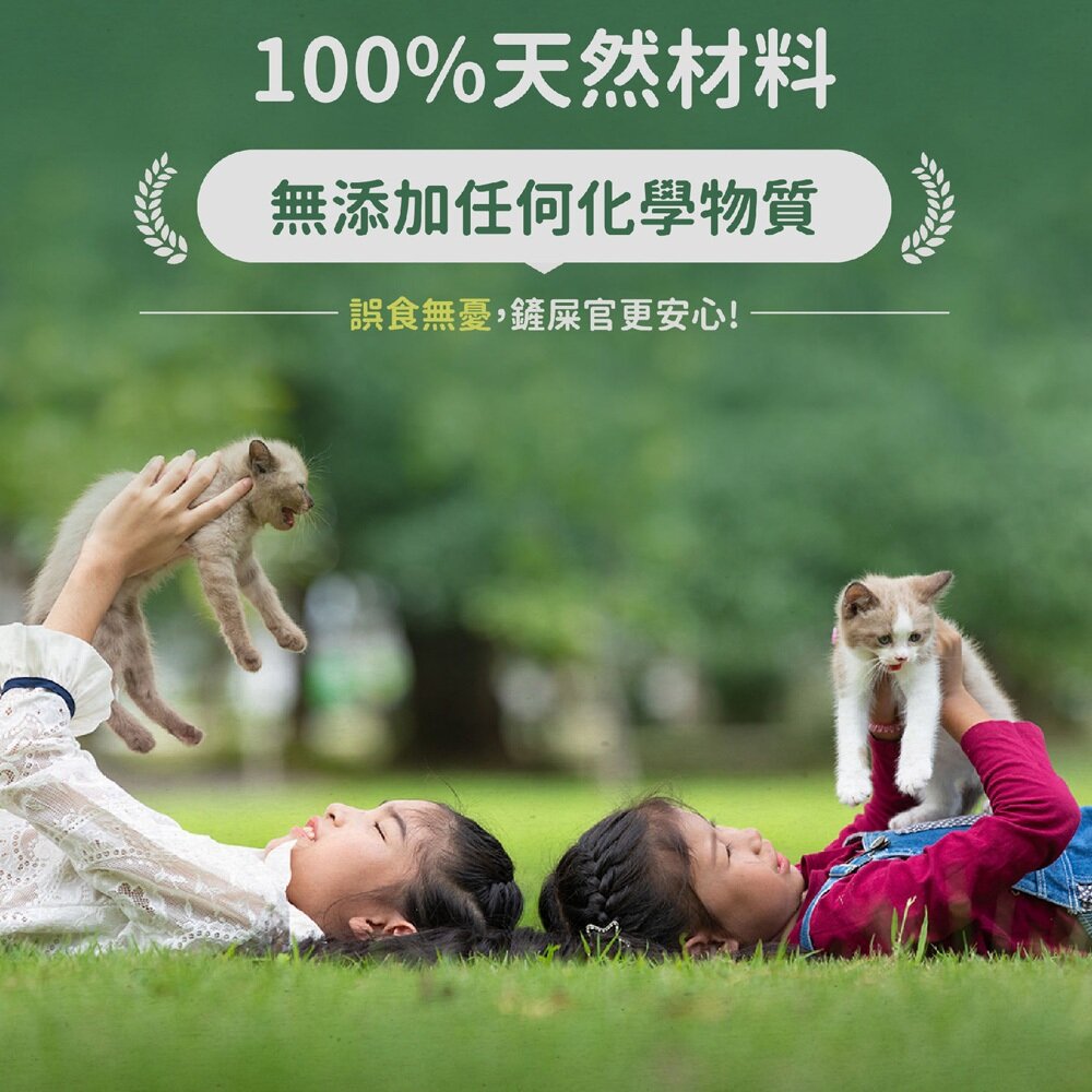 MRC 瑪西森林 除臭稻殼貓砂 1.5mm【6包組免運】2.5kg(6L) 1秒瞬吸2秒快速凝結 環保 貓砂『WANG-圖片-7