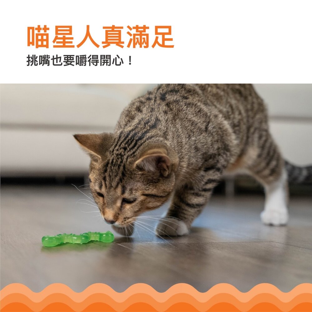 美國 Petstages 貓咪潔牙玩具 紅鞭炮 薄荷棒 貓草潔牙脆餅 毛毛蟲 潔牙鼠 貓草玩具 貓玩具『WANG』-圖片-2