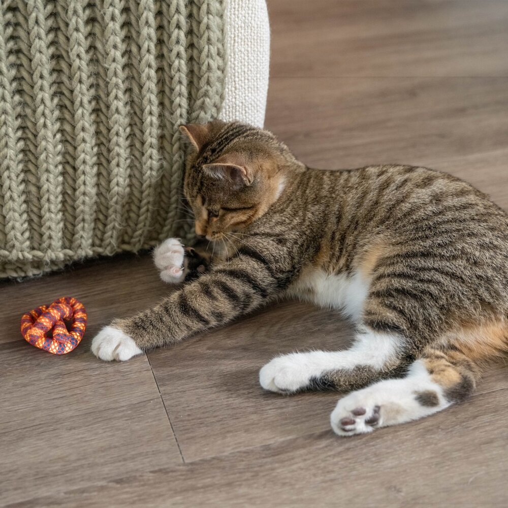 美國 Petstages 貓咪潔牙玩具 紅鞭炮 薄荷棒 貓草潔牙脆餅 毛毛蟲 潔牙鼠 貓草玩具 貓玩具『WANG』-圖片-4