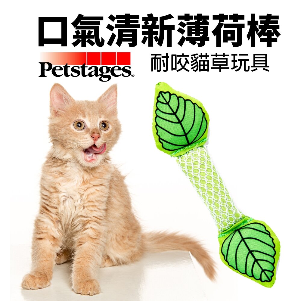 050401809-美國 Petstages 335 口氣清新薄荷棒 薄荷棒 貓草玩具 耐咬 貓玩具『WANG』