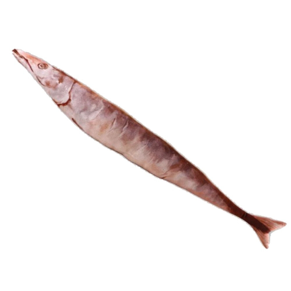 050403593-美國 SMARTYKAT 逼真 鹹秋刀魚抱枕 長約80cm 貓咪超愛『WANG』