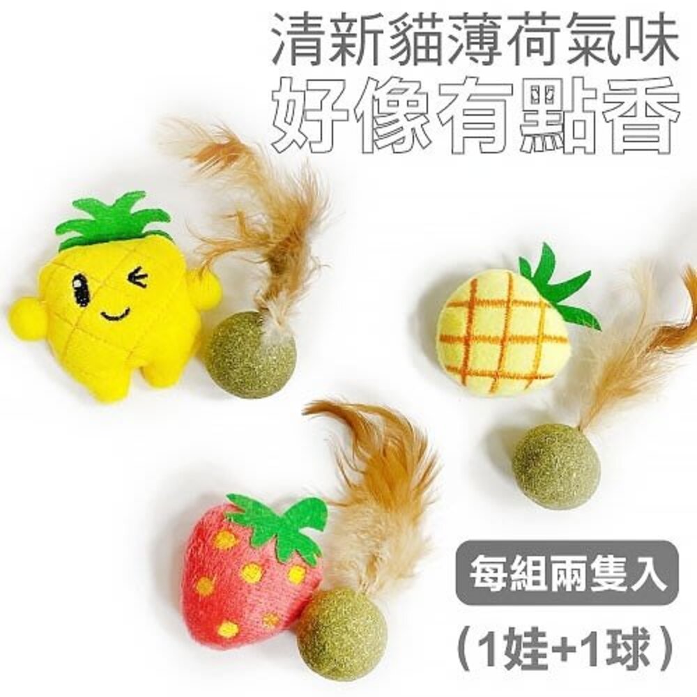 寵喵樂 貓草玩具+K9wang帶繩調味棒 2入一組 隨機出貨 貓薄荷可愛造型【品牌會員點數兌換賣場】『WANG』-圖片-4