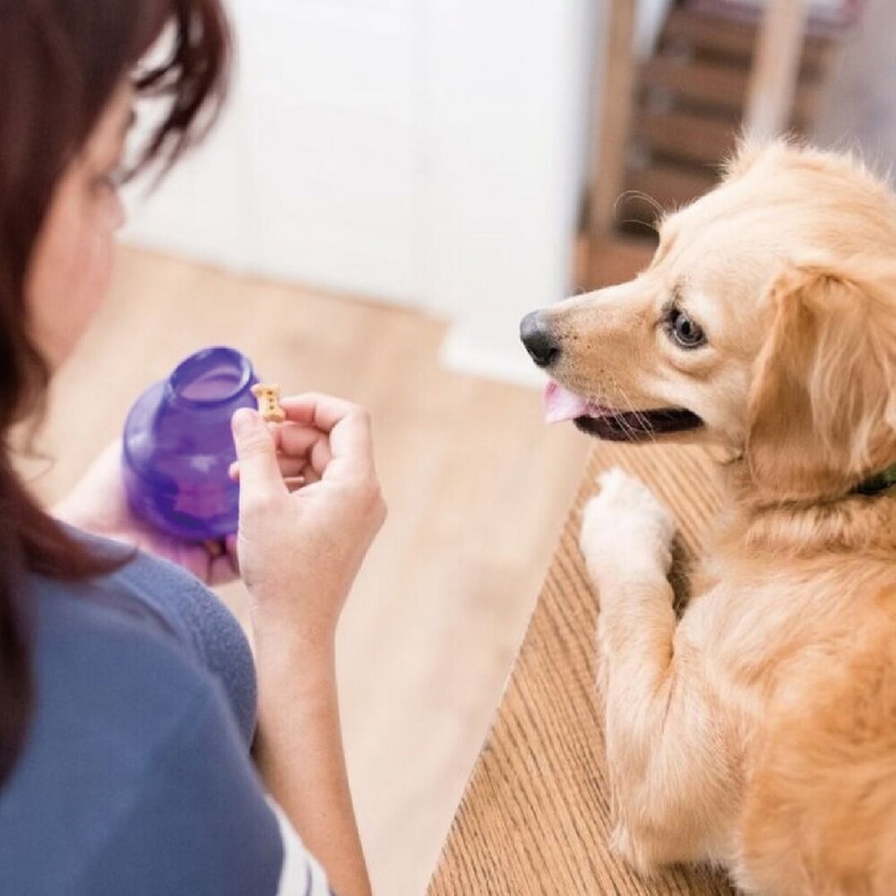 Planet Dog SNOOP耐咬埋鼻缽 藏食蓋 寵物益智 藏食玩具 多色可選 堅韌耐咬 浮力好 清洗方便『WANG』-圖片-2