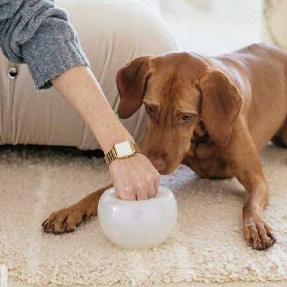 Planet Dog SNOOP耐咬埋鼻缽 藏食蓋 寵物益智 藏食玩具 多色可選 堅韌耐咬 浮力好 清洗方便『WANG』-圖片-3