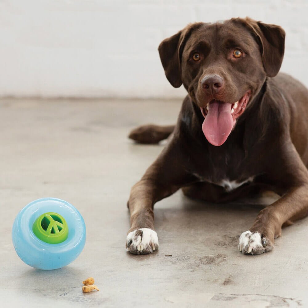 Planet Dog SNOOP耐咬埋鼻缽 藏食蓋 寵物益智 藏食玩具 多色可選 堅韌耐咬 浮力好 清洗方便『WANG』-圖片-4