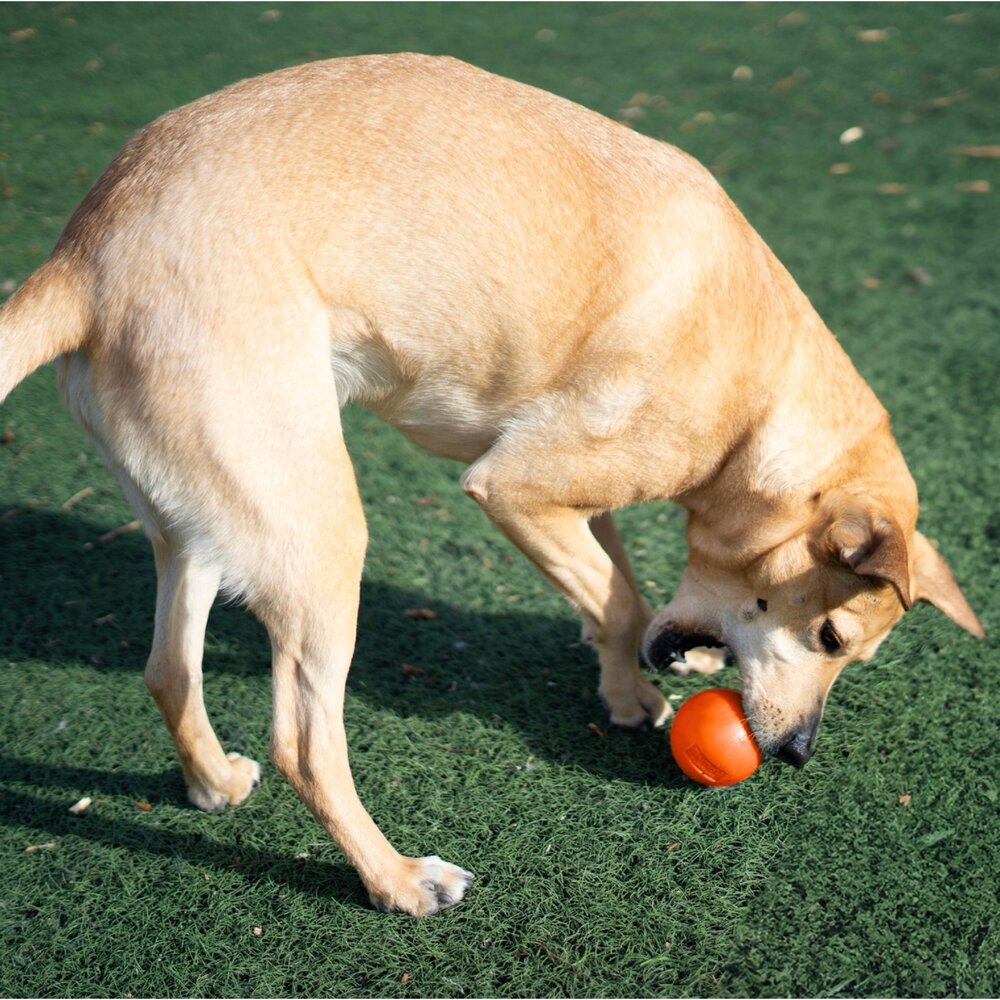 Planet Dog 寵物益智藏食玩具 狗玩具 發聲咬咬球 葫蘆 結繩球 拋接結繩球 互動益智球 藏食玩具『WANG』-圖片-4