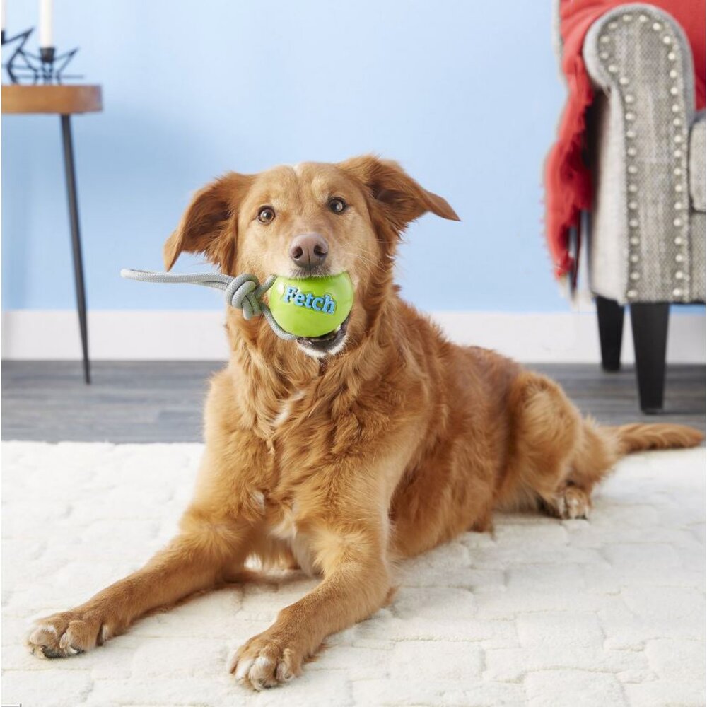 Planet Dog 寵物益智藏食玩具 狗玩具 發聲咬咬球 葫蘆 結繩球 拋接結繩球 互動益智球 藏食玩具『WANG』-圖片-6