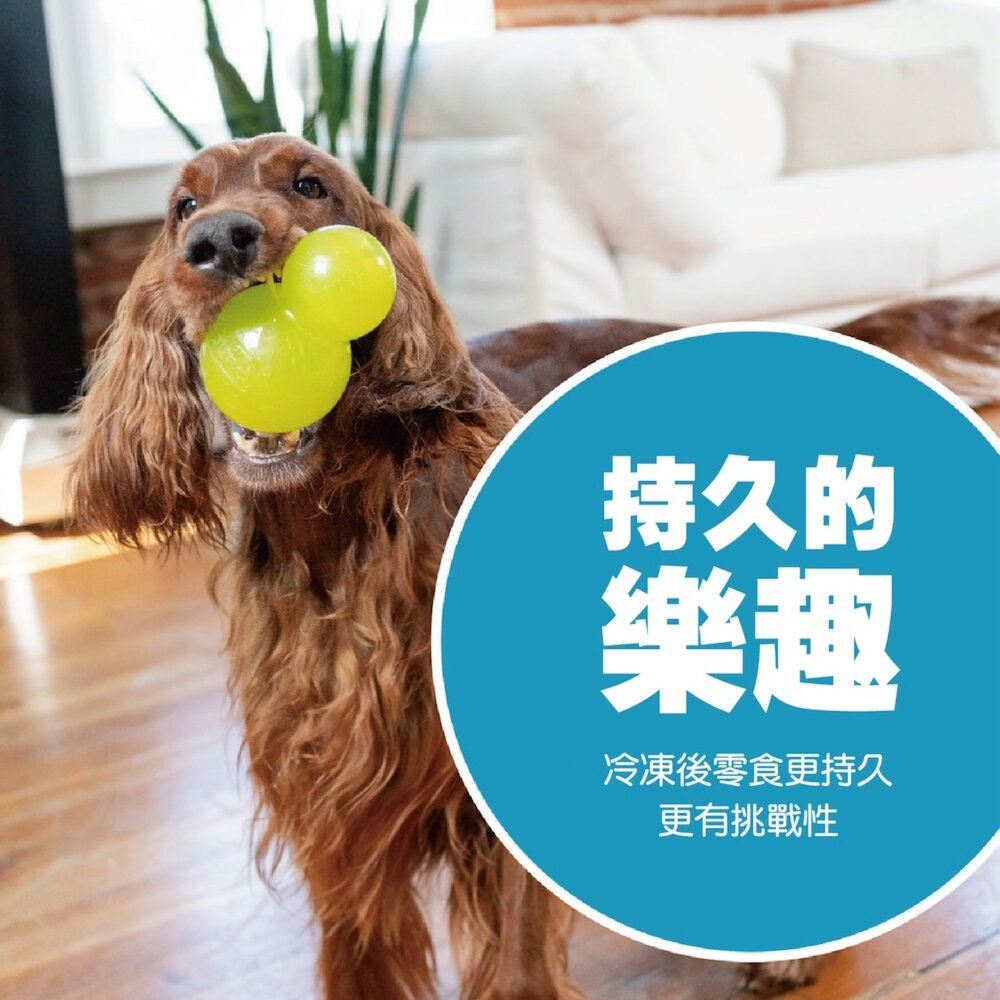 Planet Dog 寵物益智藏食玩具 狗玩具 發聲咬咬球 葫蘆 結繩球 拋接結繩球 互動益智球 藏食玩具『WANG』-圖片-7