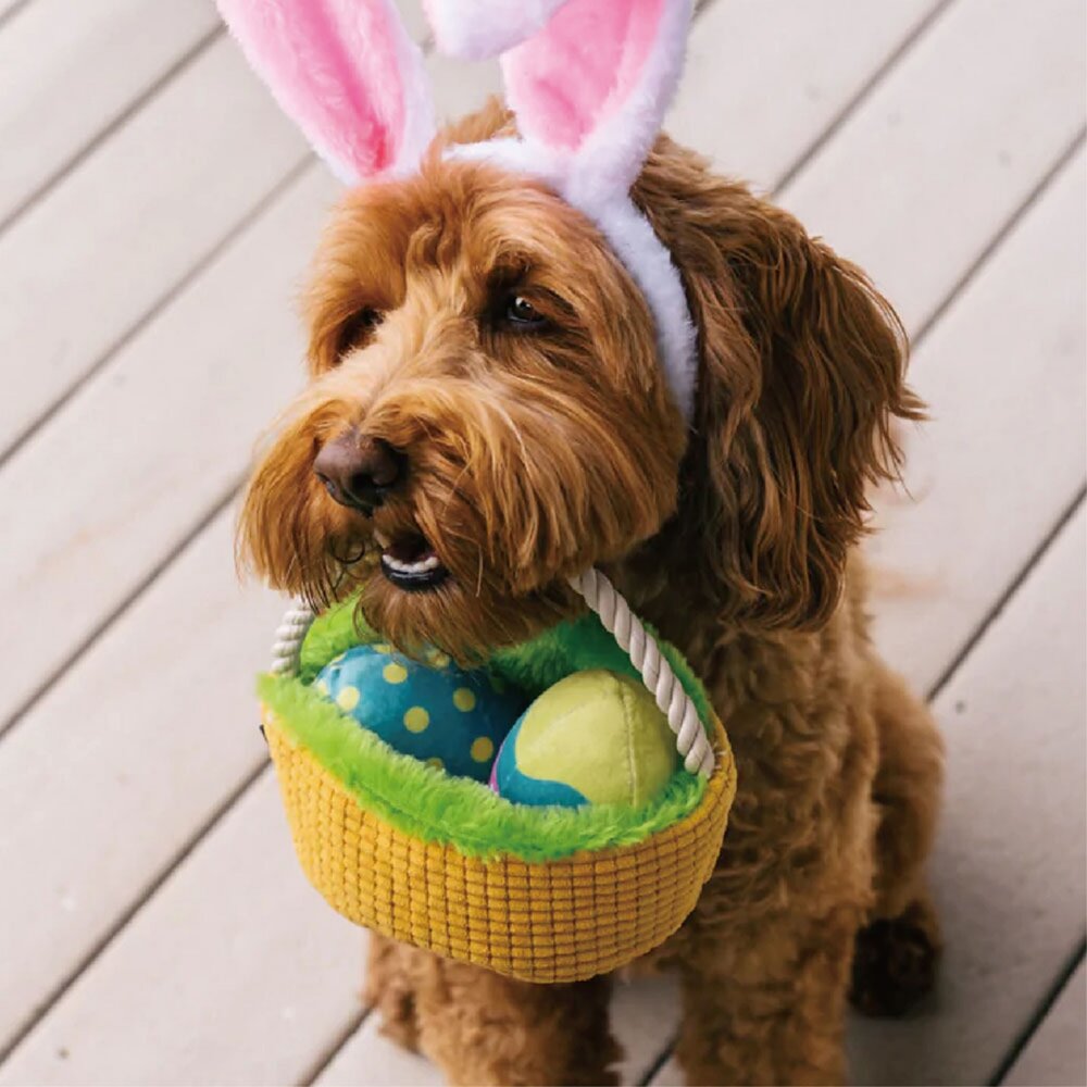 P.L.A.Y. 狗玩具 零食特攻隊 經典聖誕大餐 汪汪聖誕 歡樂派對 愛情多惱集 蹦蹦復活節 蒙特婁美食『WANG』-圖片-10