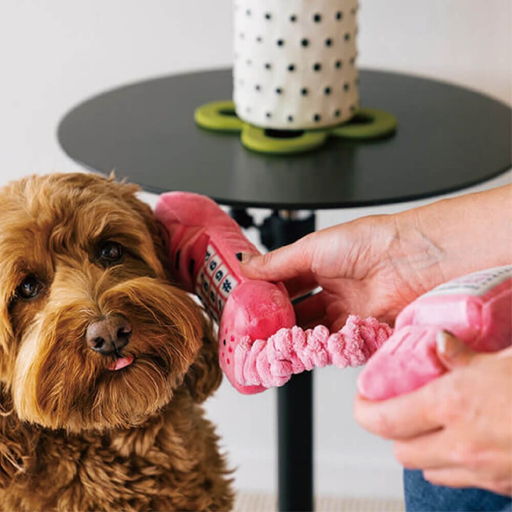 P.L.A.Y. 毛絨狗玩具 星際藝工 經典80年代 搖滾90年代 環遊勝地 旅遊達人 HyperX 狗玩具『WANG』-圖片-10