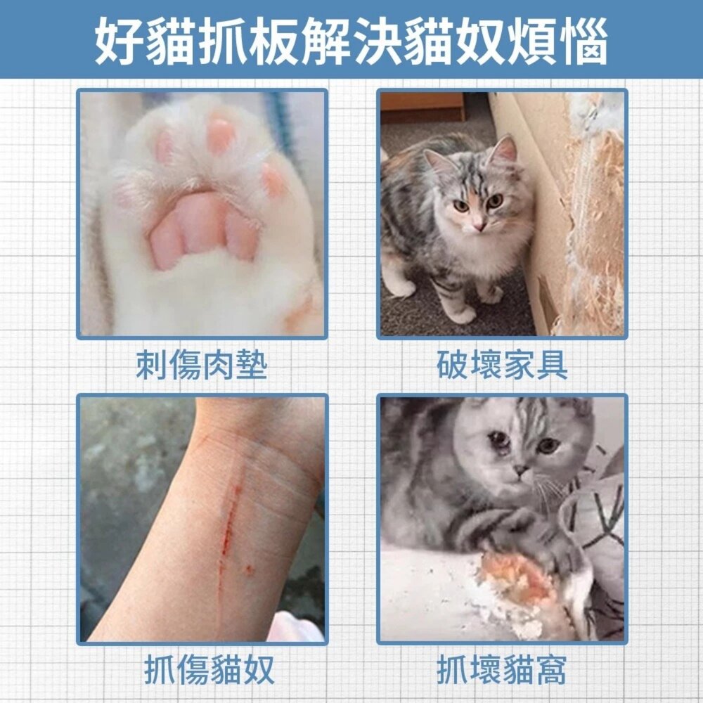 iCat 寵喵樂 貓咪浴缸貓抓板 不掉屑 瓦愣紙貓抓板 人氣貓抓板 可愛造型 貓泡澡 磨爪『WANG』-圖片-7