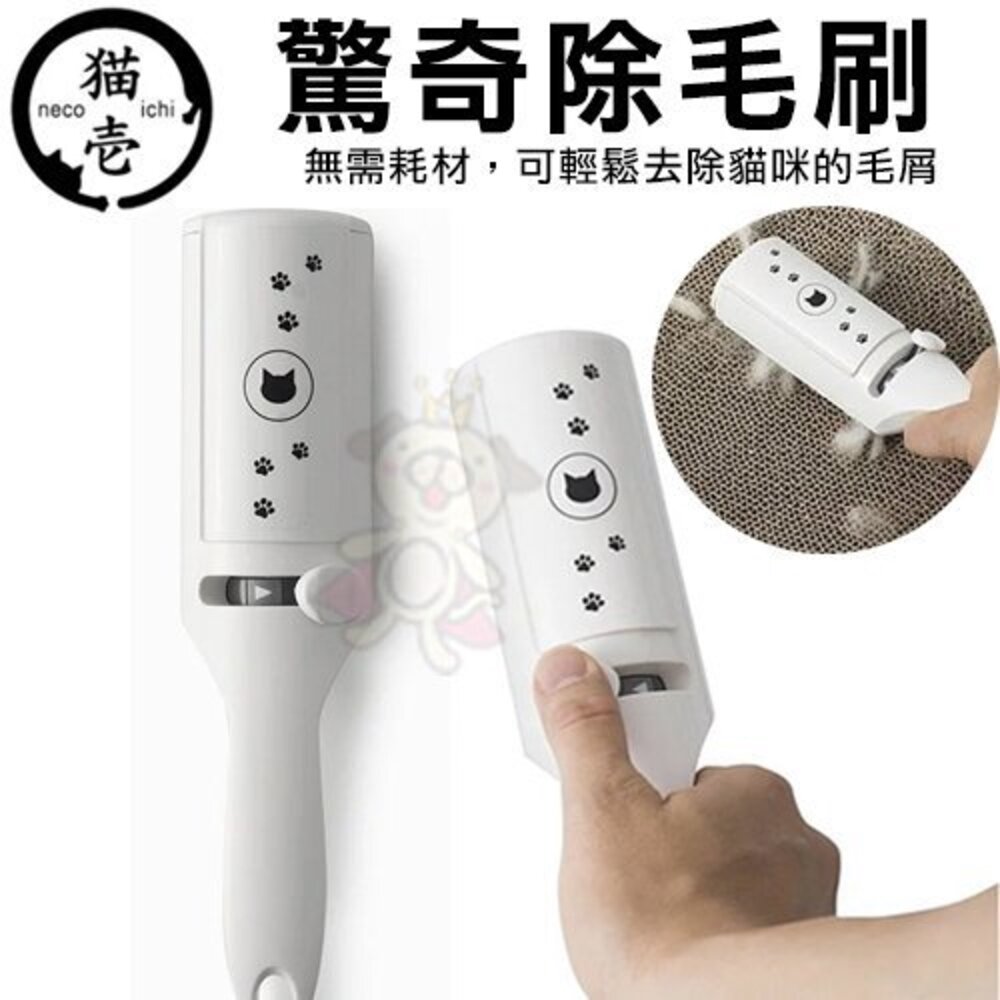 050704917-日本 necoichi 貓壹 驚奇除毛刷 可輕鬆去除貓咪的毛屑 貓咪專用『WANG』