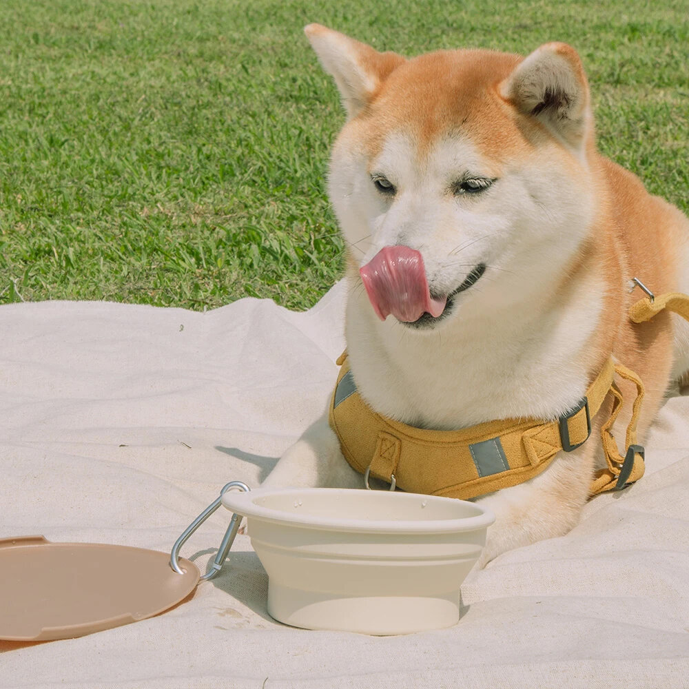 LitoMon 怪獸部落 漫步雲端 吸盤式貓吊床 貓窗台 防塵折疊碗 可摺疊收納 防塵碗 寵物餐碗 貓跳台『WANG』-圖片-4