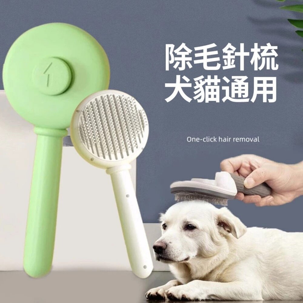 iCat 寵喵樂 圓形按摩針梳|貓狗通用 寵物梳 按摩梳 一鍵除毛 去浮毛 除廢毛 理毛梳子 不打結『WANG』-圖片-6