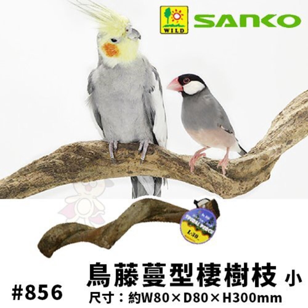 060400228-日本SANKO 鳥藤蔓型棲樹枝(小)#856 營造鳥籠有趣的遊樂場式棲息地 鳥籠必備『WANG』