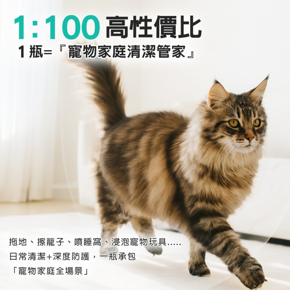 柚享淨 文旦酵素柚淨plus寵物用地板清潔液2000ml【2入組】(快速除臭/無味不刺鼻/ 酵素分解除臭/貓狗可用/SG-圖片-4